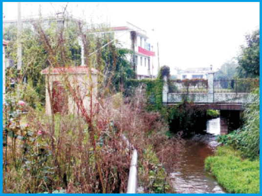 ���e���r(n��ng)�I(y��)�ƌW(xu��)Ժ���^(gu��n)���л���-����ˮλӋ(j��)